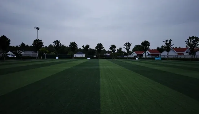 家庭与公共区域消杀场景下的专业服务实践